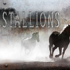 Getting Loopy_Stallions