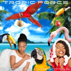 TROPIC FORCE - Tropical Christmas (excerpt)