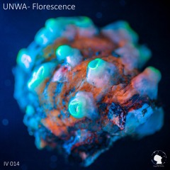 UNWA - Florescence [Preview]