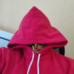 Social_Emilieering