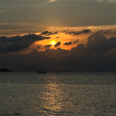 Alex Van - Phangan Vibes