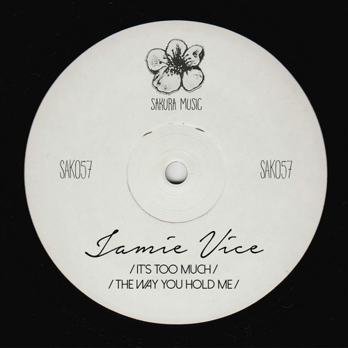 (SAK057) Jamie Vice - It's Too Much (Original Mix)