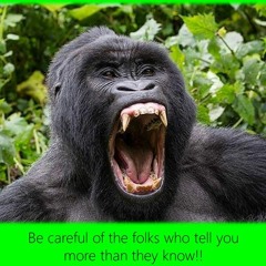 Exercise And Food - Do I Think For Myself Or Repeat Other People's Opinions