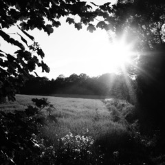 Light Veils