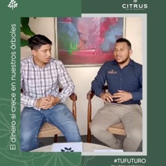 Citrus Patrimonial Opiniones – Mérida,Yucatán