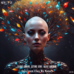 Eliad Cohen , Steve Levi, Alfie Arcuri - Spectrum Say My Name