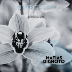 Matias Dignoto - Orquidea (Original Mix)[Superior Leap]