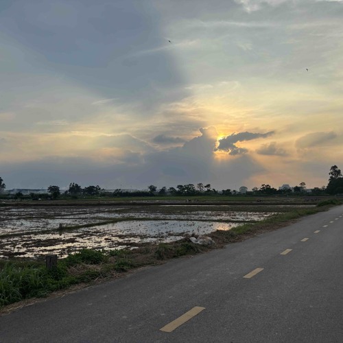 Trai Tim Dong Nguoi - Vanh