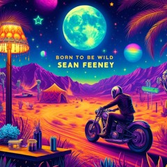 Born 2 B Wild - [Sean Feeney on the town Remix]