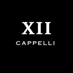 MUSIK XII (MIXED BY CAPPELLI)