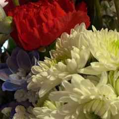 TWIN FLOW (TRANCE REMIX)