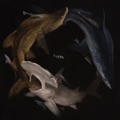 Jaws (Cordé x Ozy)