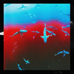 Nolimits - Polar (Mashup)