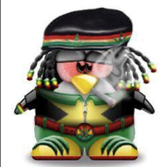 BEBRA DISS 4 TIMAFEY