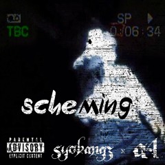 a4 - scheming