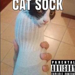 sockcat43 full Song