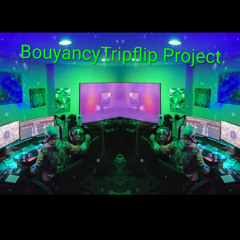 BouyancyTripFlip Prroject