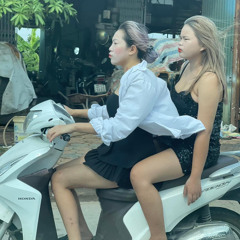 NST | Chú Voi Con Âm Thanh Kèn Sáo (NVT RMX).mp3