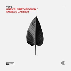 Angel's Ladder