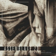 Assemblage 23