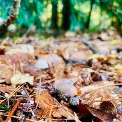 Even uit de maalstroom deel 1