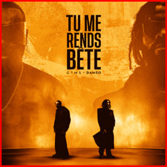 NRJ GIMS & DAMSO - TU ME RENDS BETE (PN)
