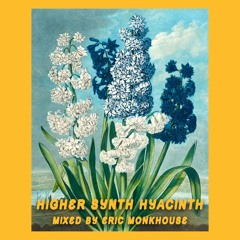 Higher Synth Hyacinth