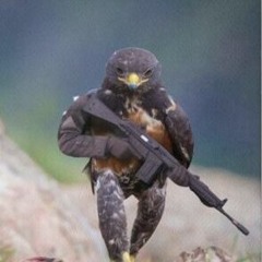 Starbird Song - Rough Draft