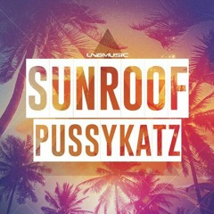 PussyKatz - Sunroof (Bonkerz Remix Edit)