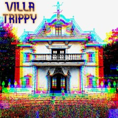 KRUNX - Villa Trippy