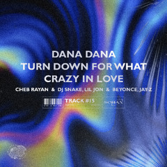 Dana Dana x Turn Down For What x Crazy In Love