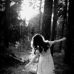 In The Forest Fair (revamp)