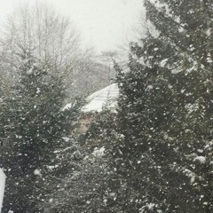 violent taste (skele cover)