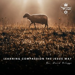 Learning Compassion the Jesus Way | Rev. David Pileggi