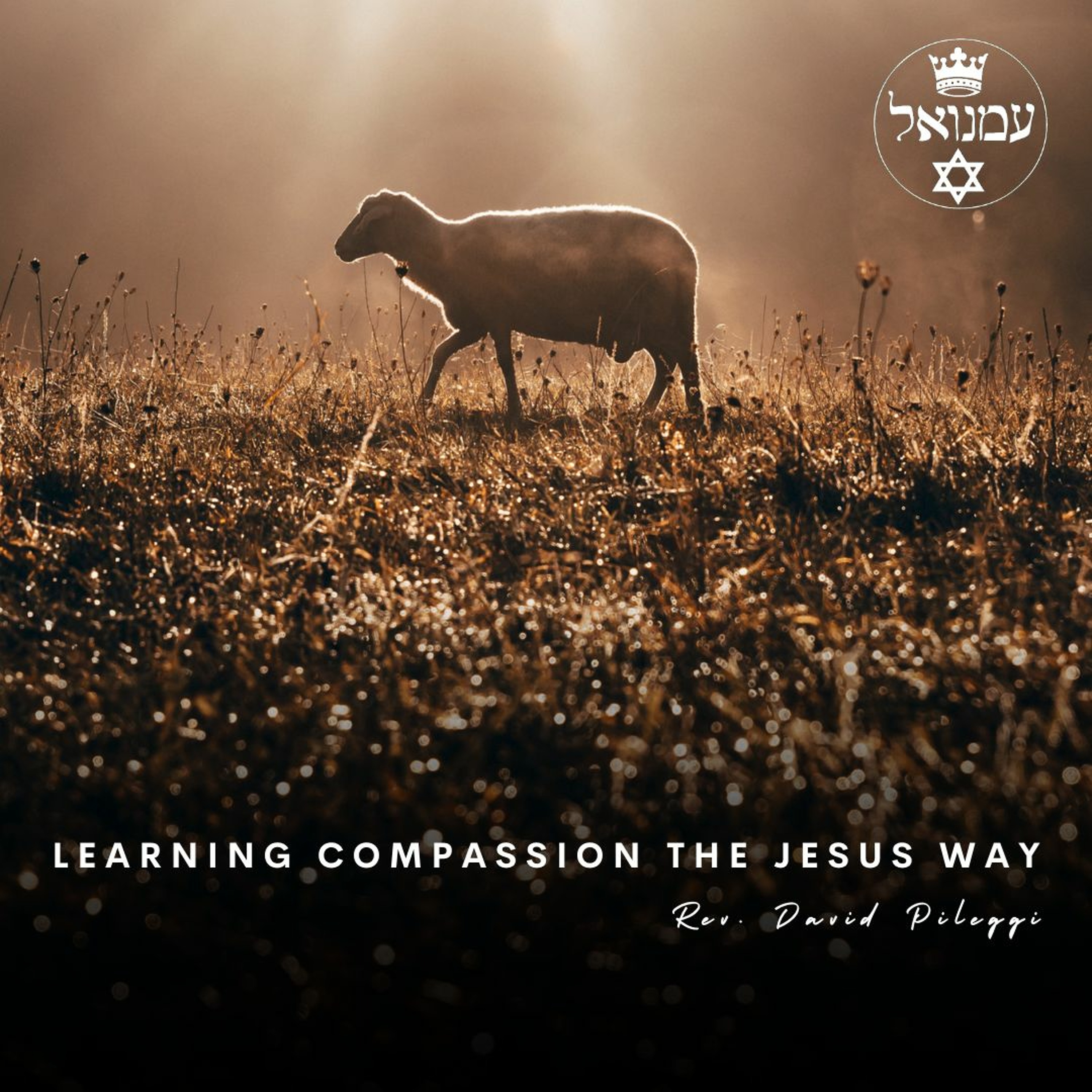 Learning Compassion the Jesus Way | Rev. David Pileggi episode artwork