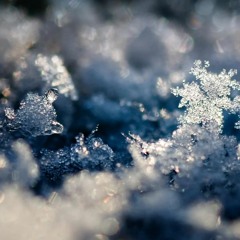 Paupiette - Melting Snow