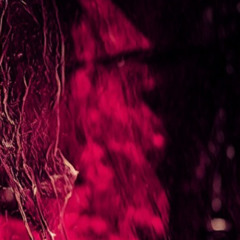 Velvety