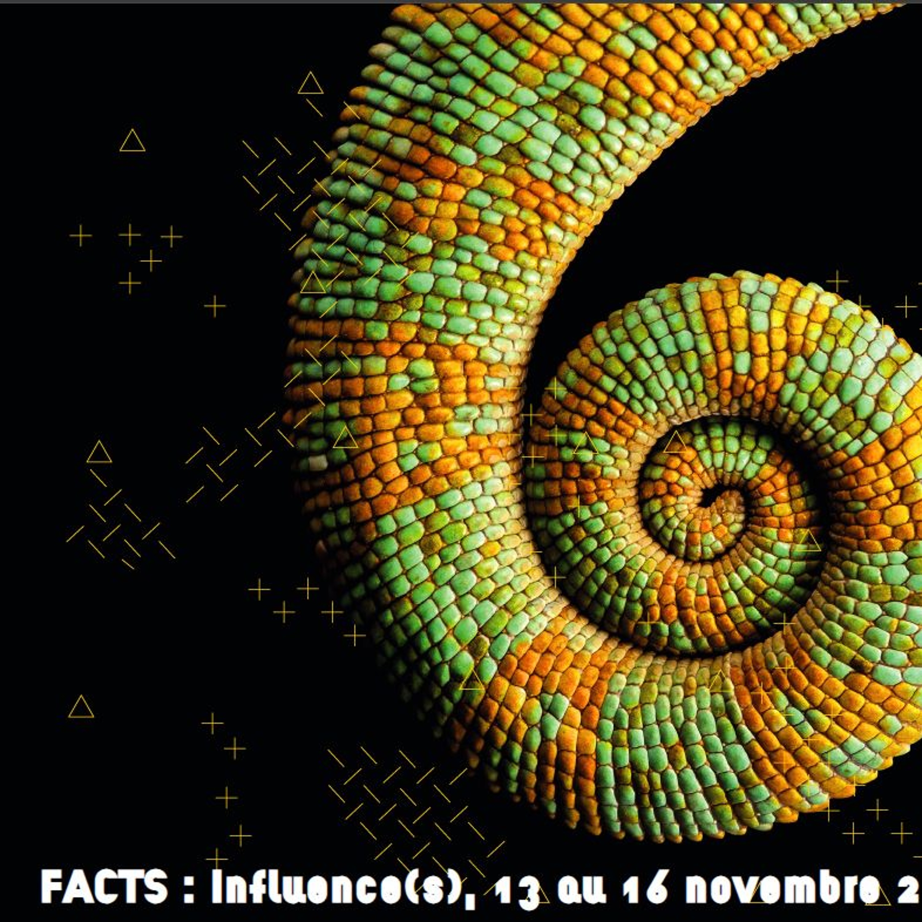 FACTS 2025 - Interview Anne Lassègues episode artwork