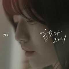 지아- 울보라 그래