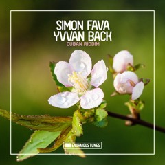 Simon Fava & Yvvan Back - Cuban Riddim