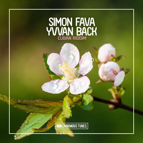 Simon Fava & Yvvan Back - Cuban Riddim