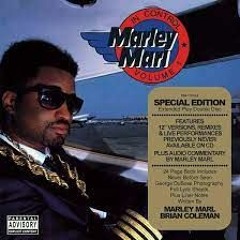 Marley Marl x Big Daddy Kane x Rick Ross x T-Pain - The Symphony x The Boss (DJ. DETOXX MashUp)