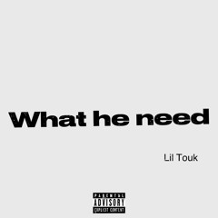 Lil Touka- What He Need