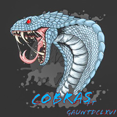 cobras ft GauntDCLVXI prod(be franky)