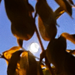 Dance With Wisdom, Not Mindlessly // Death In The Afternoon Mix - Louder
