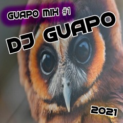 DJ Guapo - Guapo Mix #1 - 2021