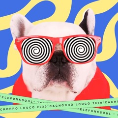 Cachorro Louco 2030