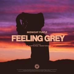 Midnight Purple - Feeling Grey (Desib-L Remix)