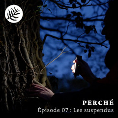 PERCHÉ - Épisode 07 : Les suspendus