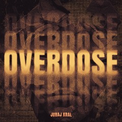 Juraj Kral - Overdose (Original Mix)